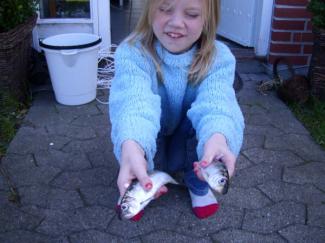 Den stolte fisker. The proud angler. Cecilie with her first herrings.