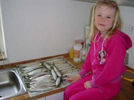 Not a bad day for an angler. Cecilie in fact caught the majority of the herrings.