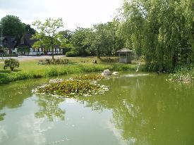 Very nice village pond at Grundfoer about 15 miles from where we live.